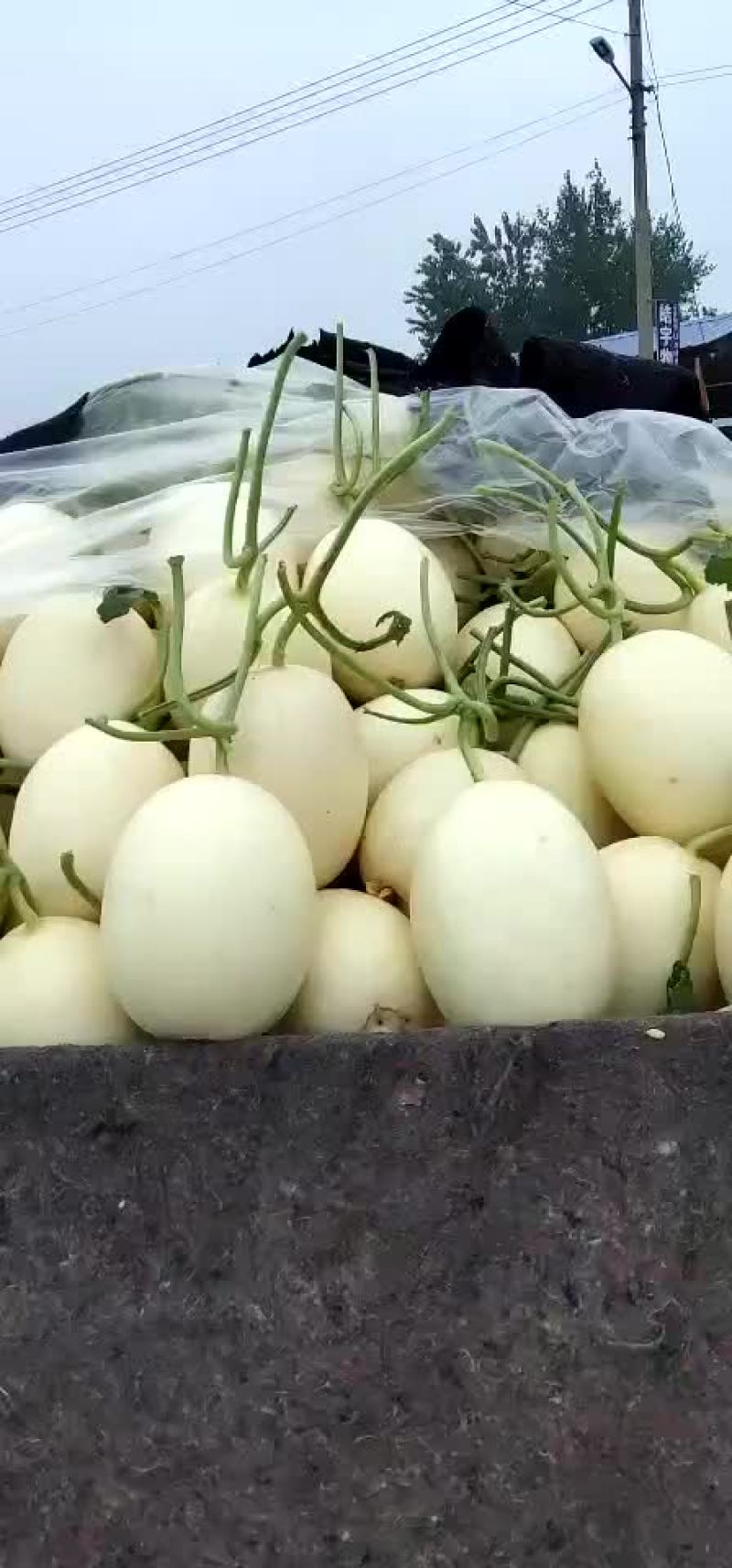 红金密代收代发支持一件代发，专业团队为你服务，