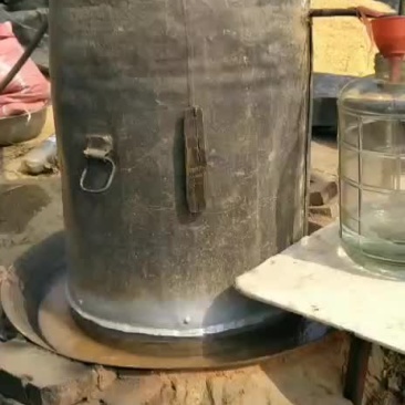 陶子家的自考酒