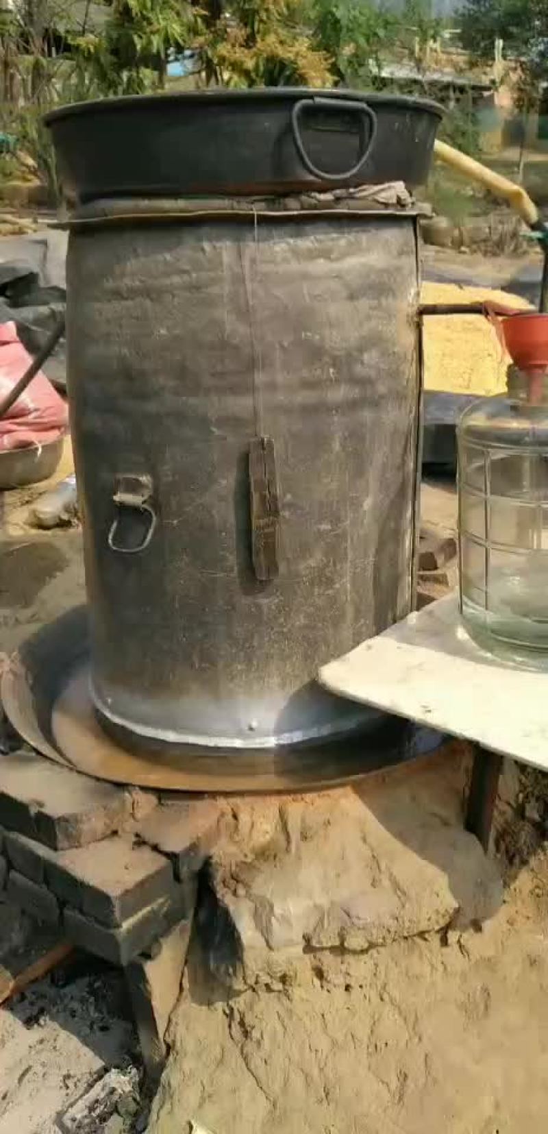 陶子家的自考酒