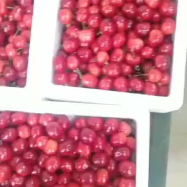 红灯大量上市需要的联系