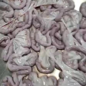 鲜粉肠