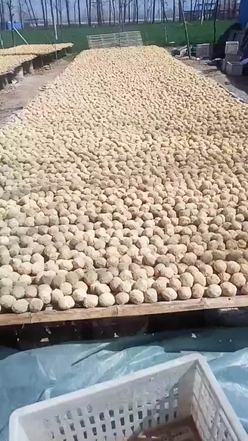 大量出售河南变蛋0.38