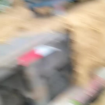 疏菜水果代卖代购