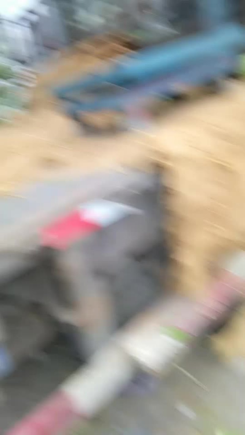 疏菜水果代卖代购