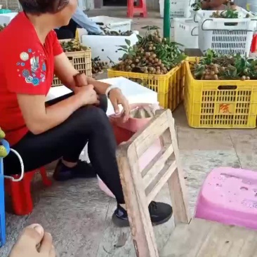 荔枝