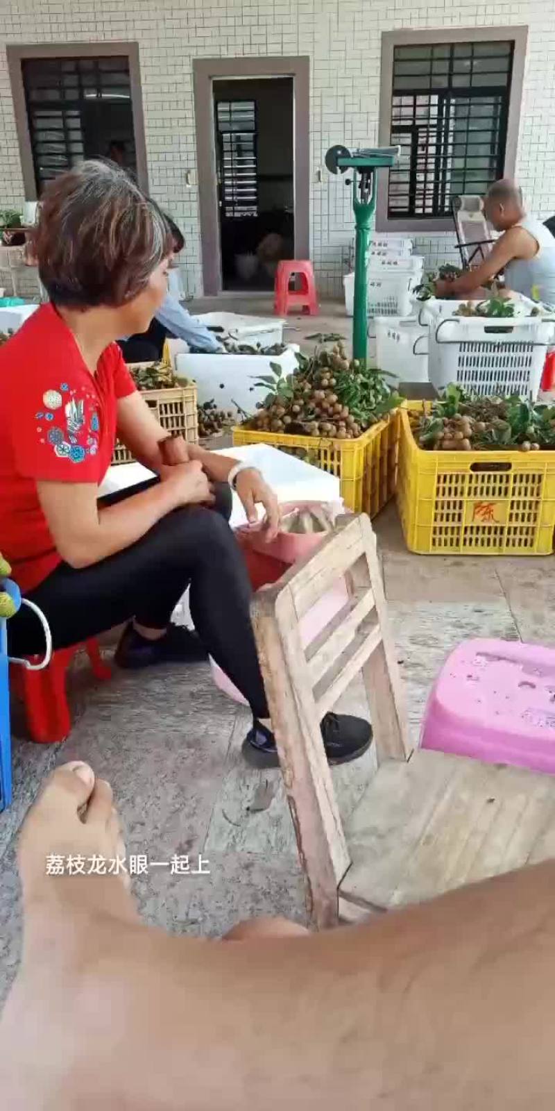 荔枝