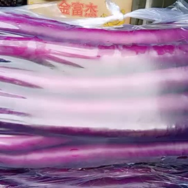 红线茄子