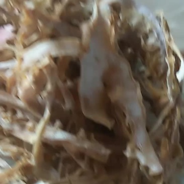 笋干
