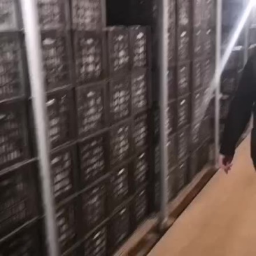 出售库存红富士