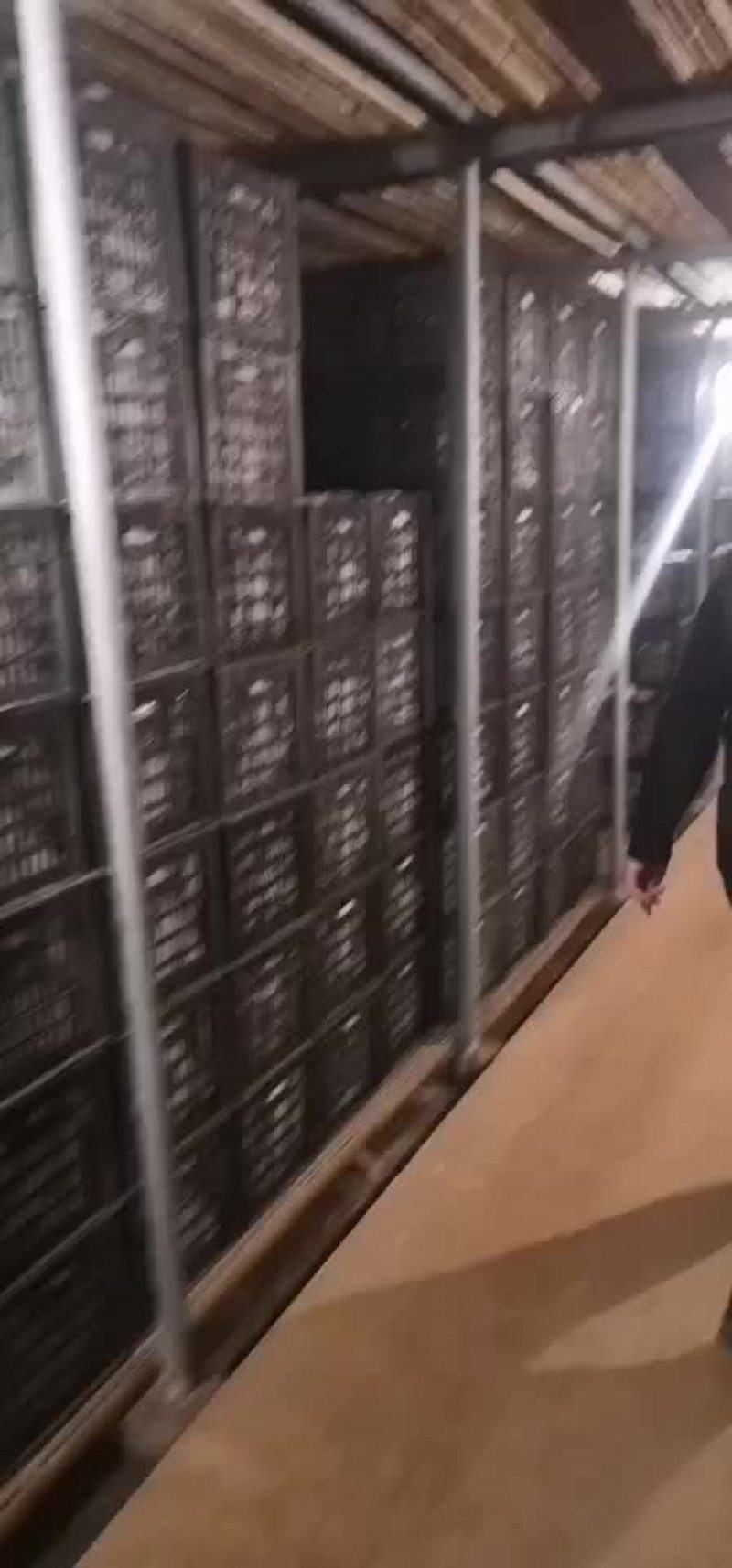 出售库存红富士