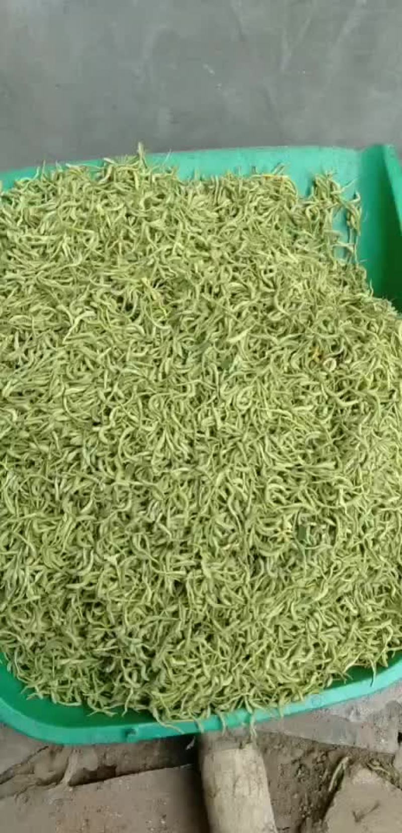 金银花