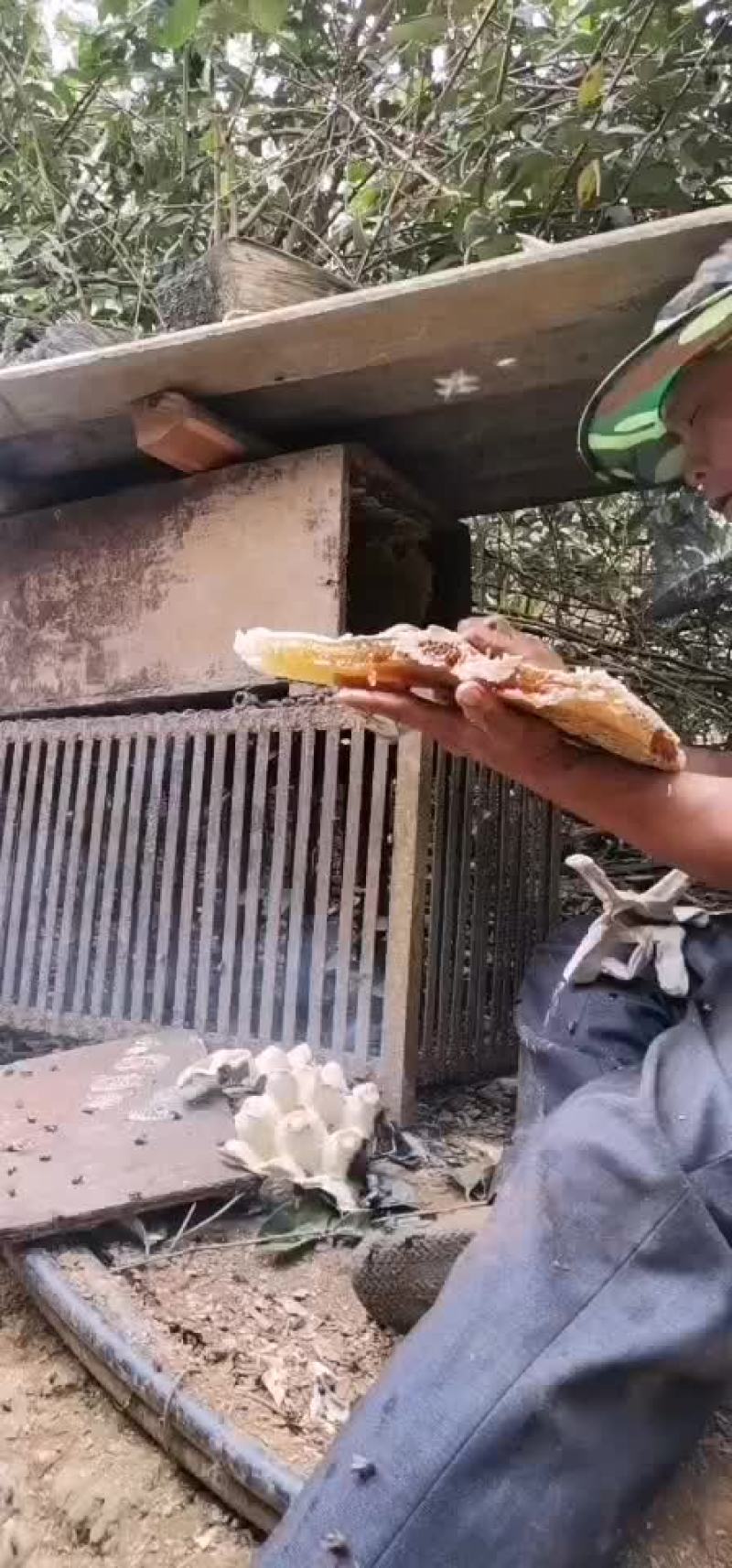 橡胶蜂蜜