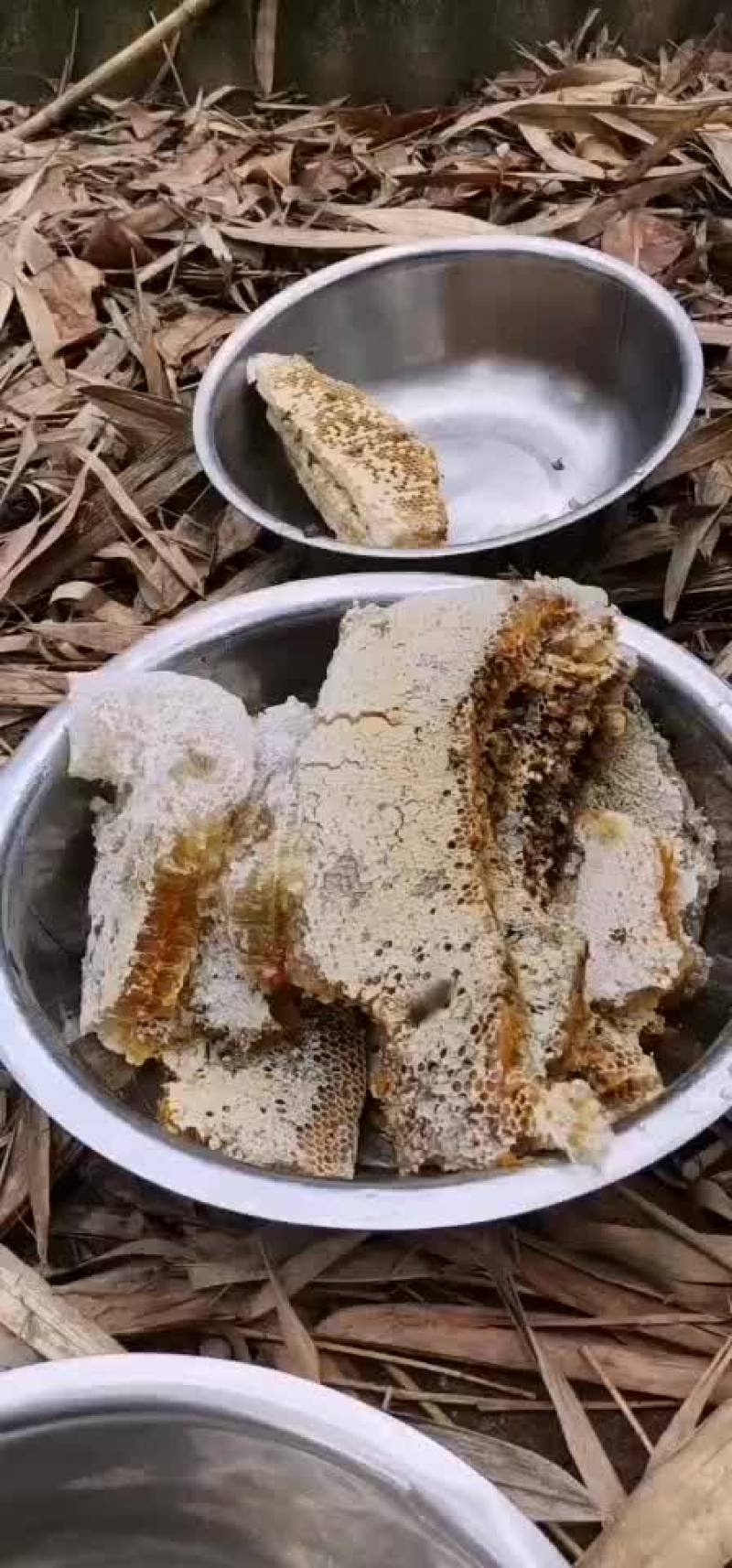 橡胶蜂蜜