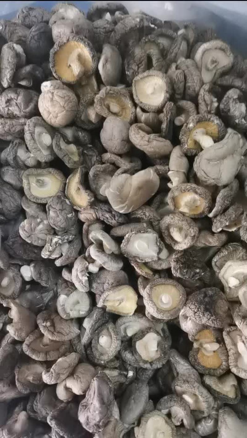 香菇
