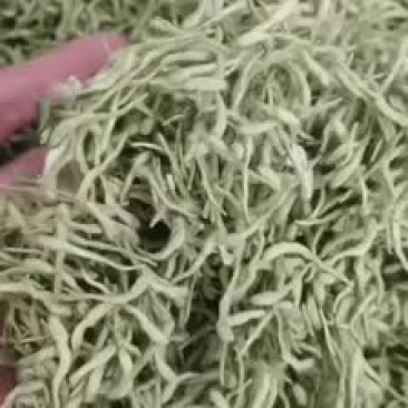 昌玉药材金银花新货产地直销薄利多销