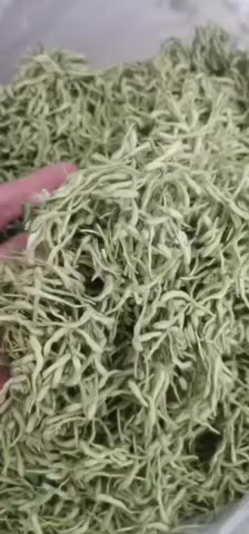 昌玉药材金银花新货产地直销薄利多销