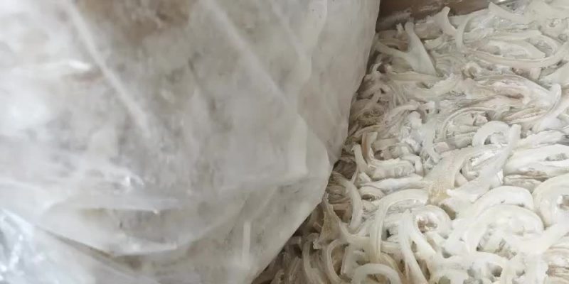 羊皮筋大量供应保质保量量大从优欢迎选购