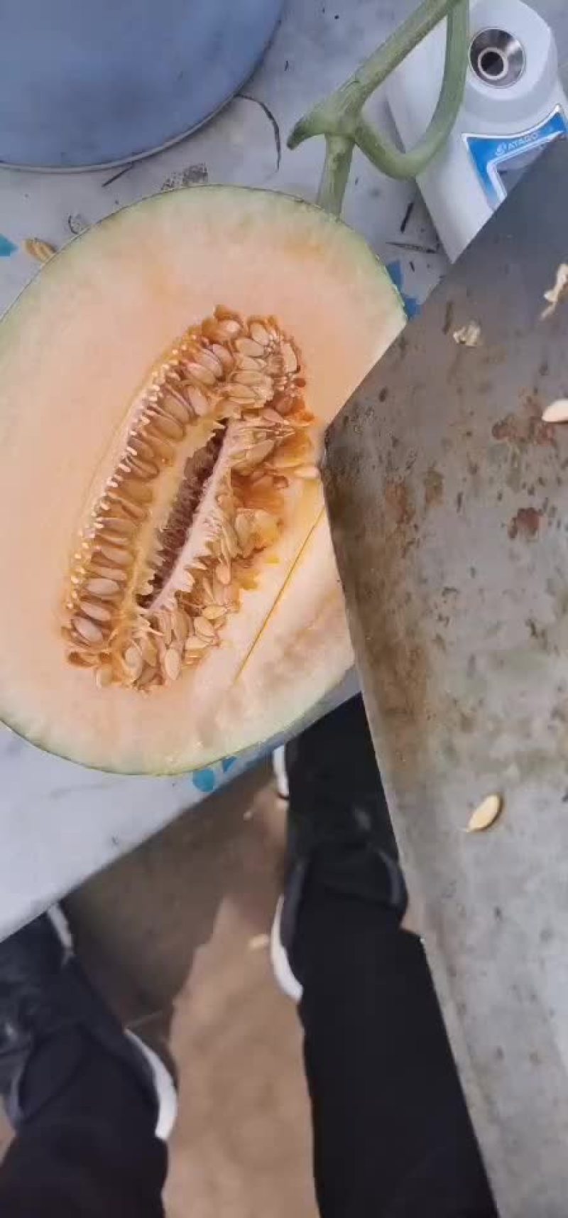 西州蜜25号