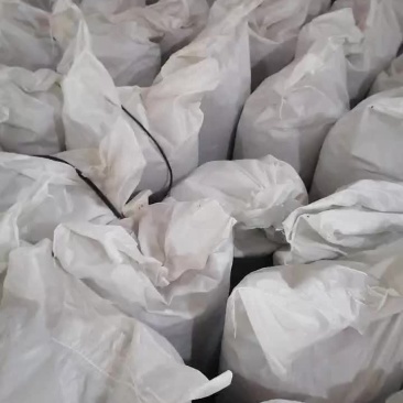 黑水虻养殖基地长期供应微波烘干虫
