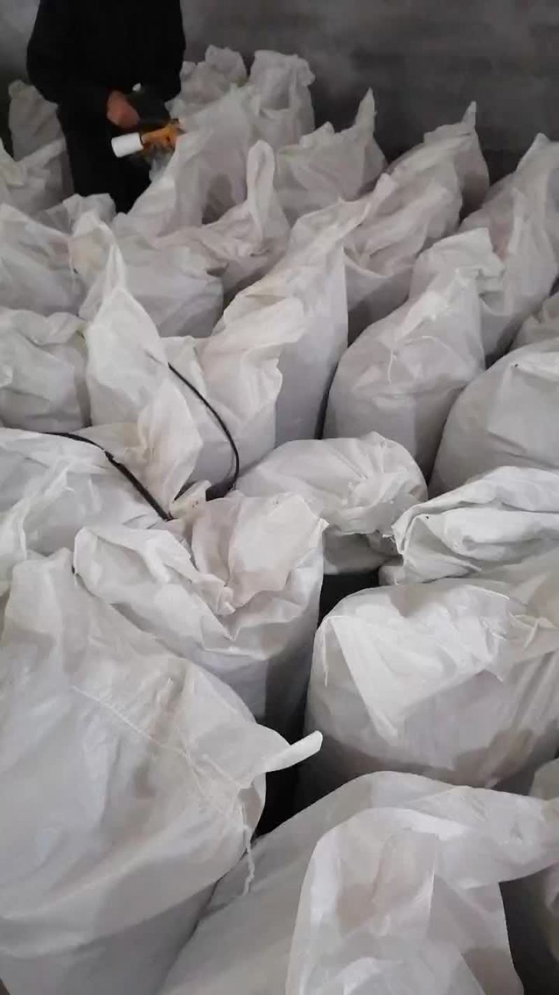 黑水虻养殖基地长期供应微波烘干虫