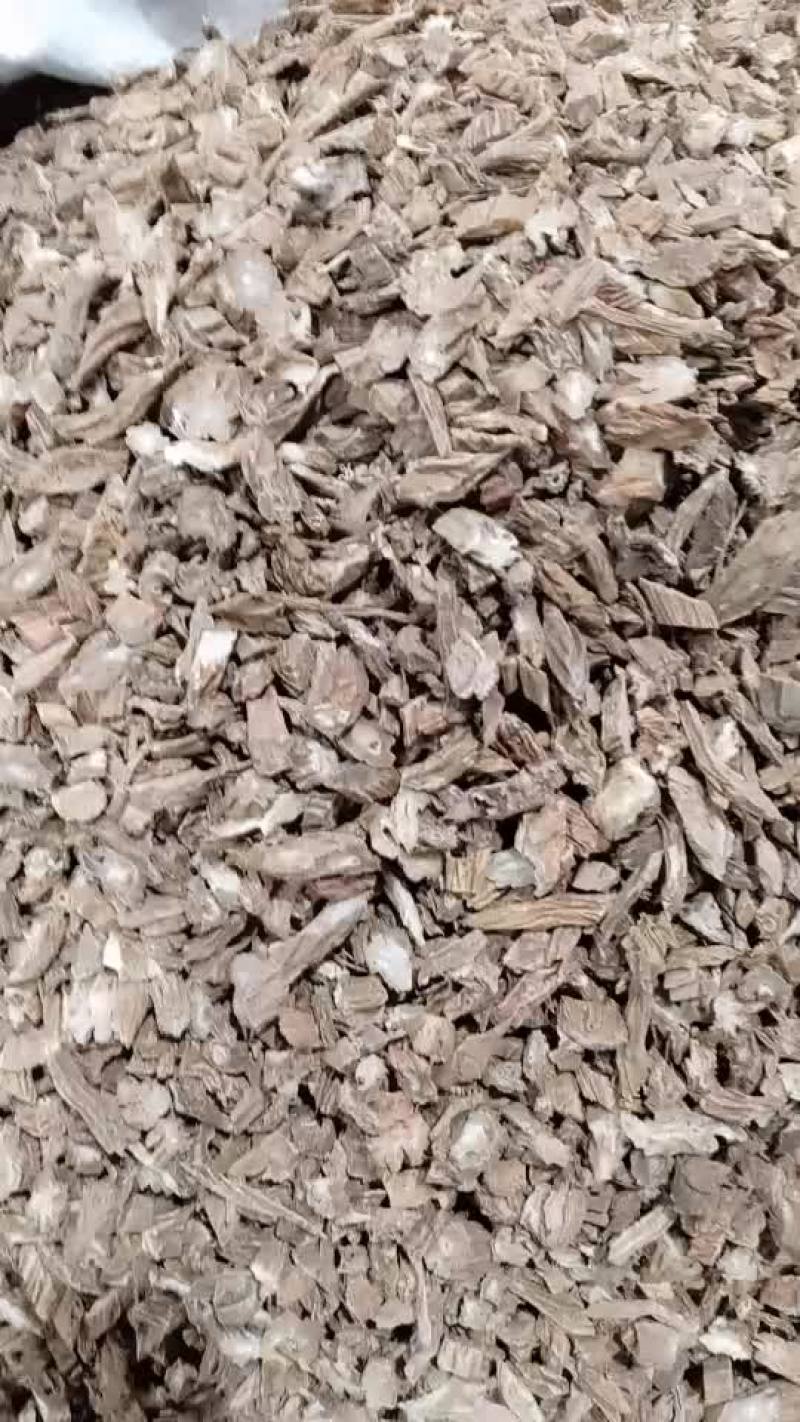 百部中药材野生正品新货百部干片500g中草药百条根多