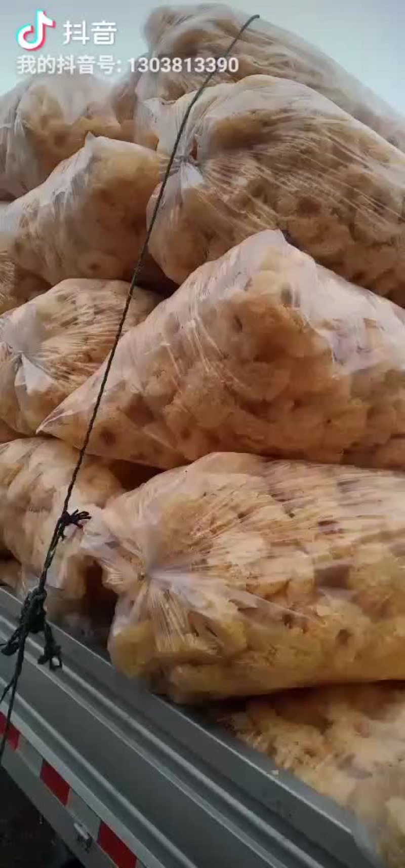 银耳