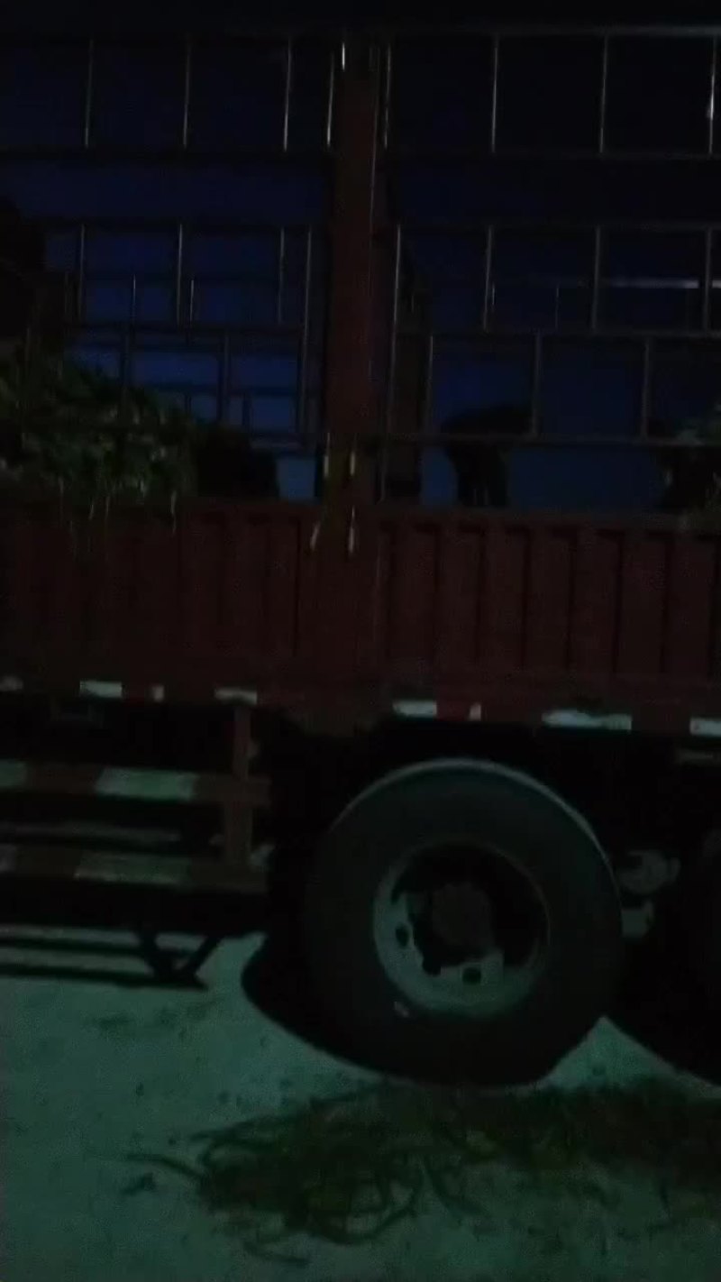 临清优质大蒜
