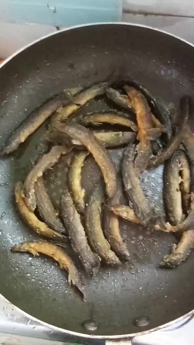 泥鳅
