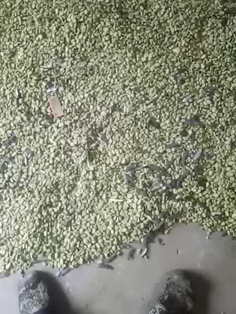 蚕豆，5斤25元包邮，小颗粒，老种子，吃一粒，儿时忆。