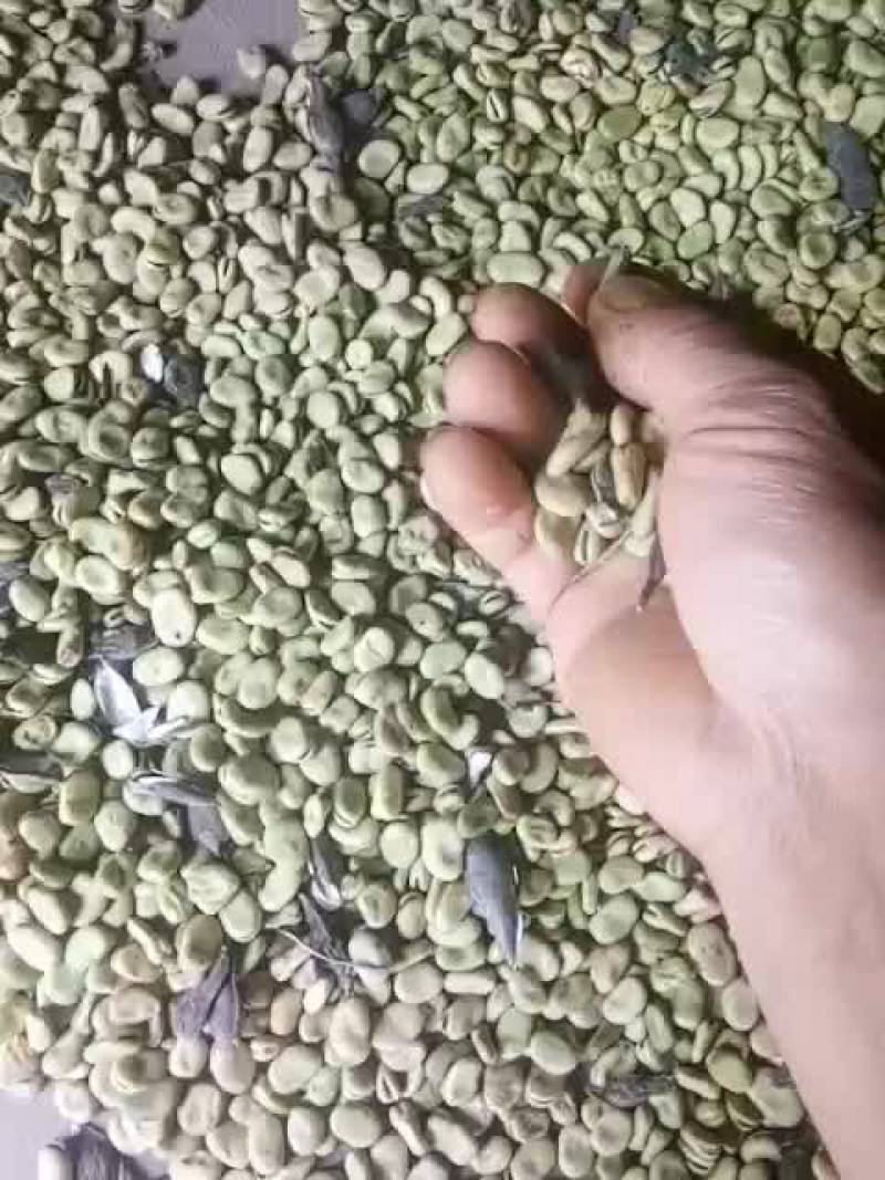蚕豆，5斤25元包邮，小颗粒，老种子，吃一粒，儿时忆。