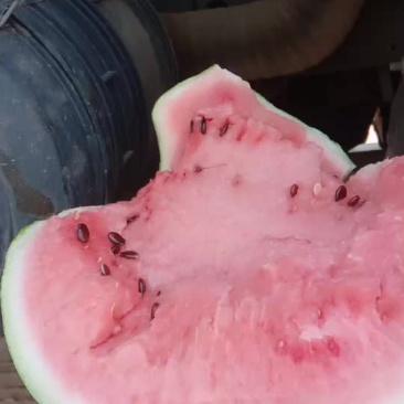 8424