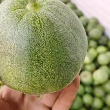 甜瓜