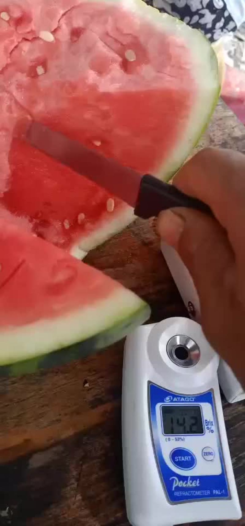 精品美都西瓜