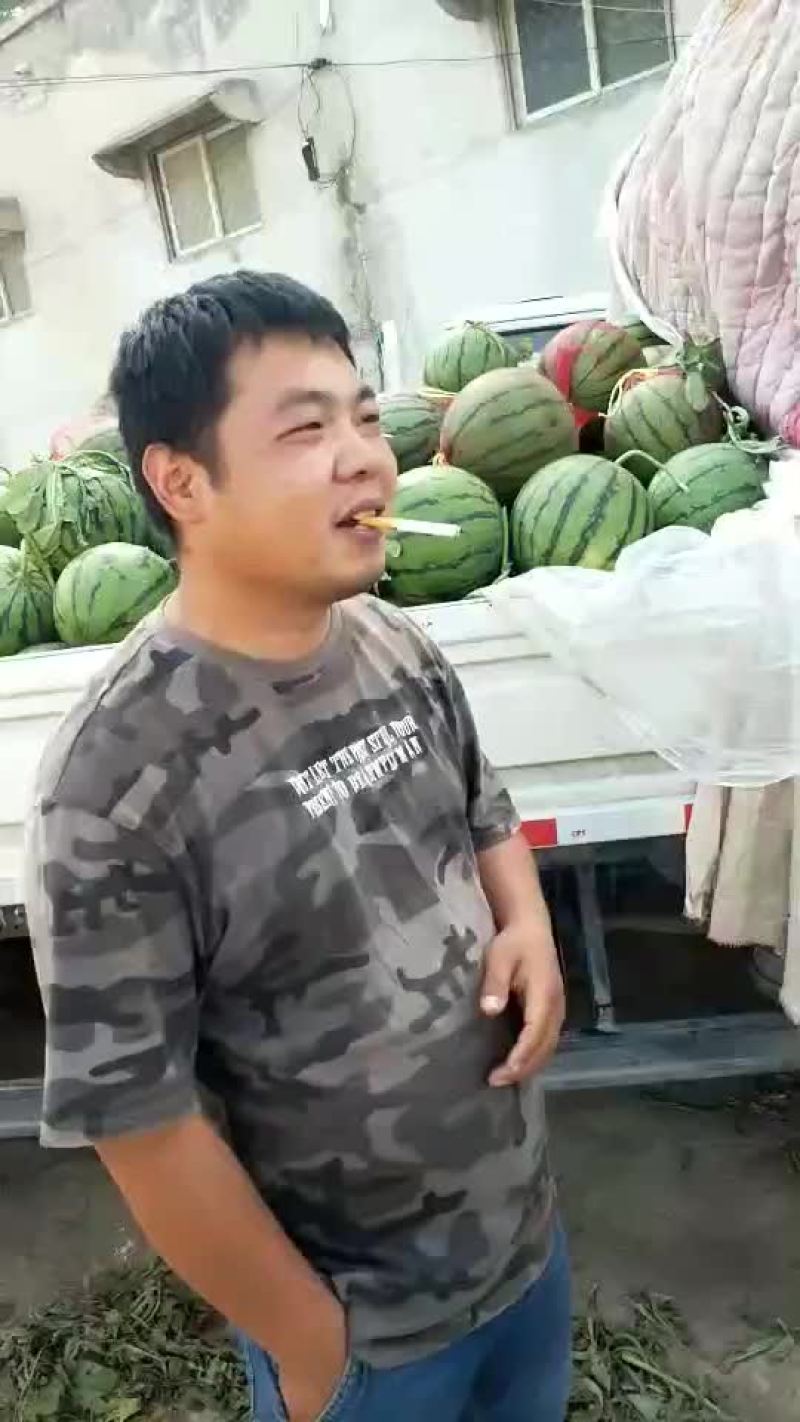 精品京欣西瓜大量上市中