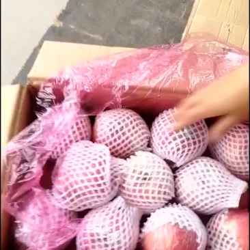 红富士苹果