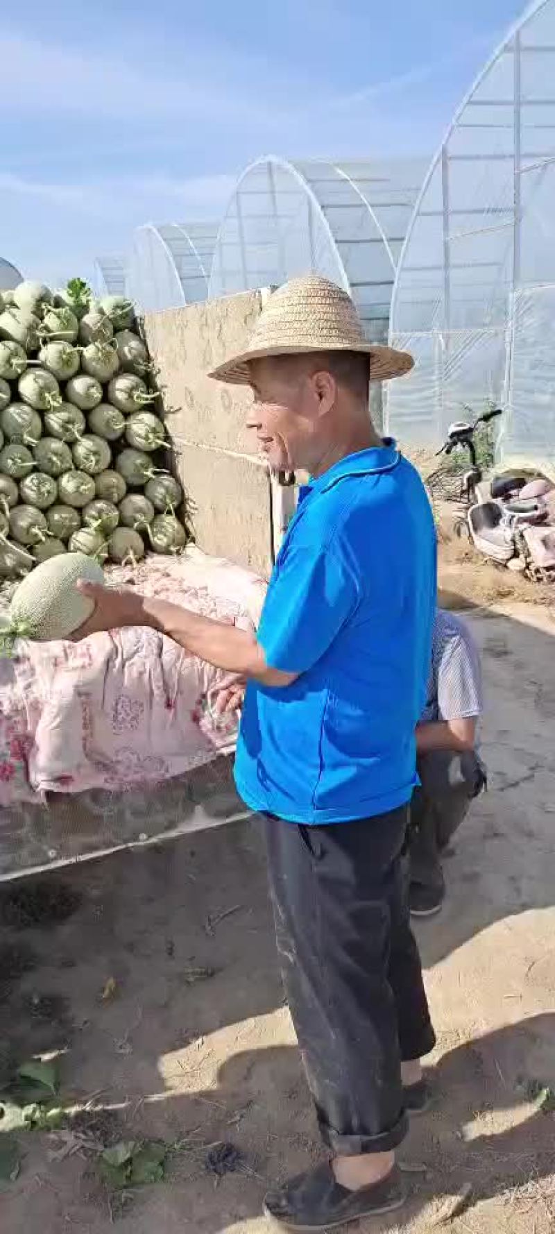 西州蜜耀龙25