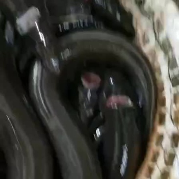 乌耳鳗脆肉鳝保质保量