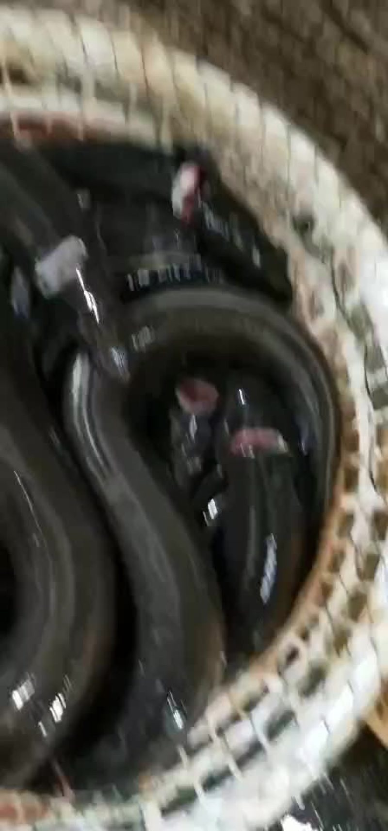 乌耳鳗脆肉鳝保质保量