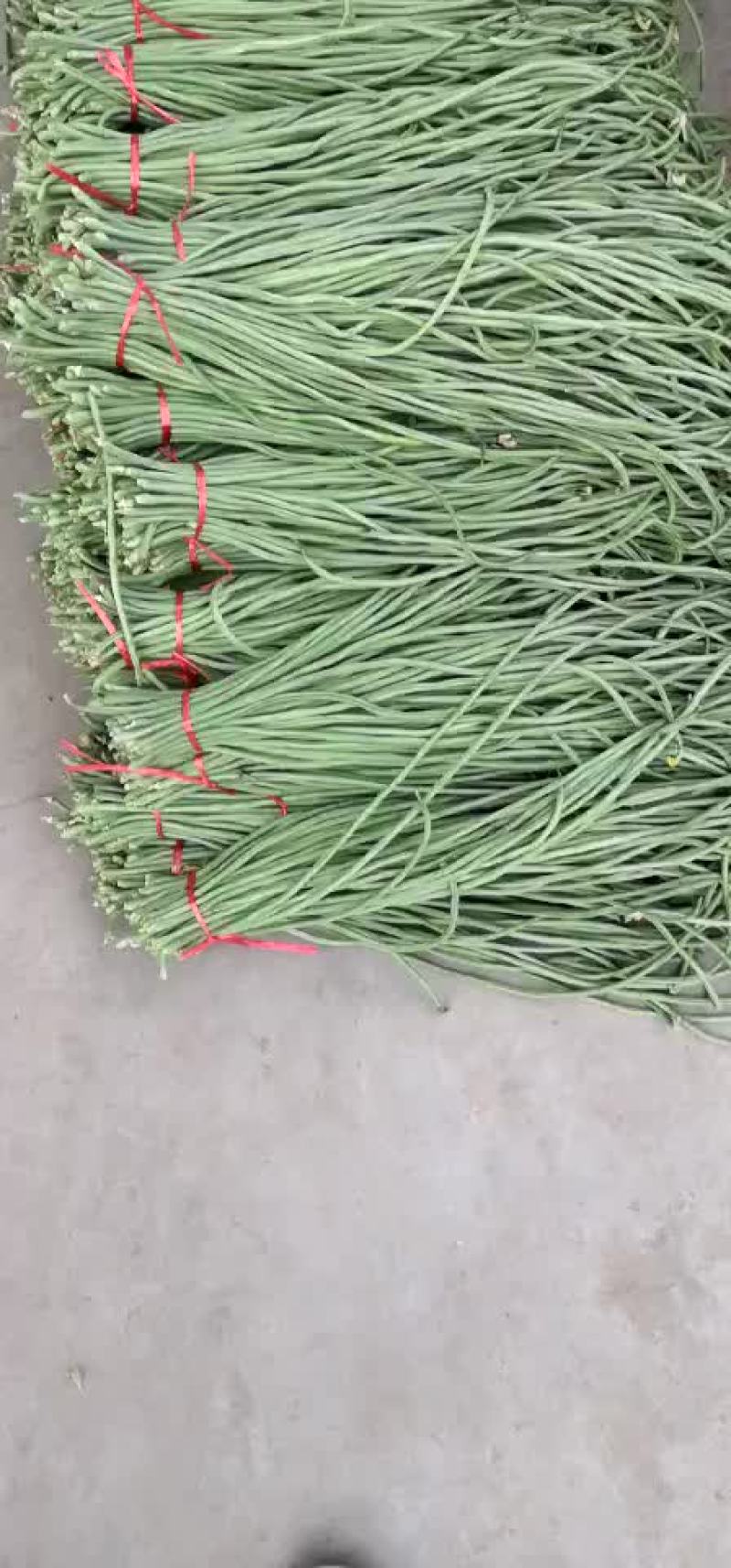 豆角