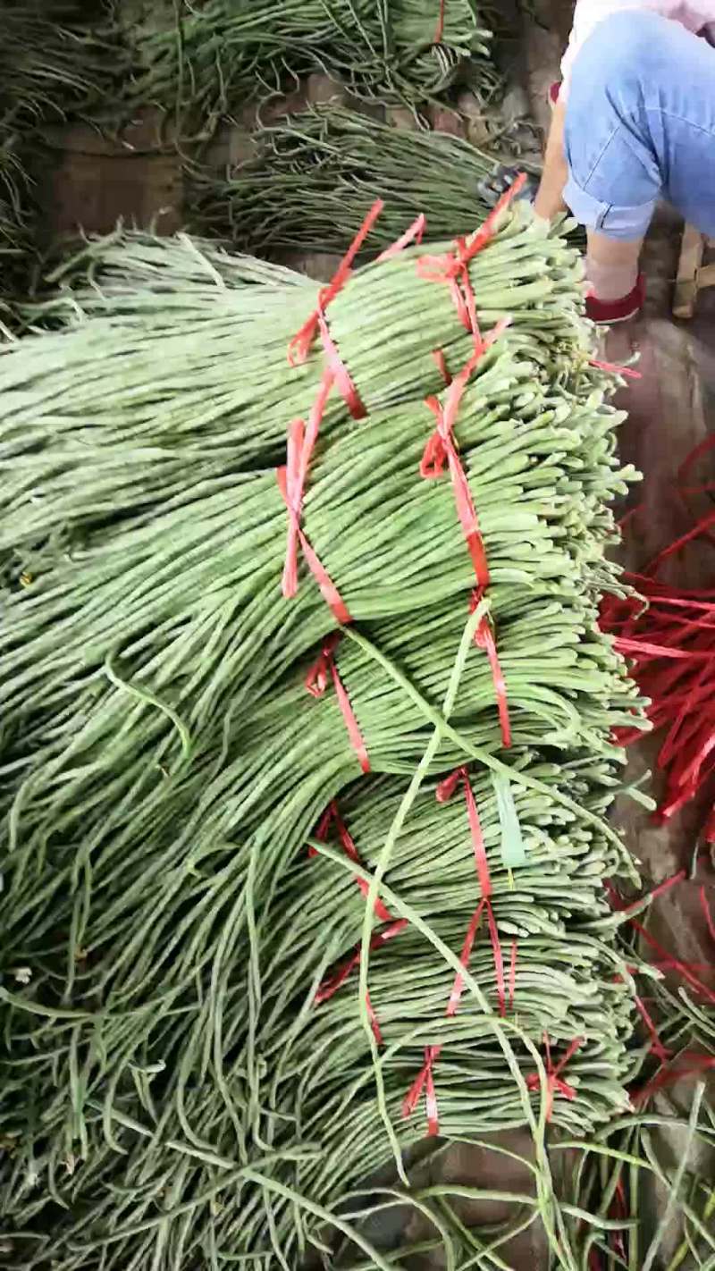 豆角