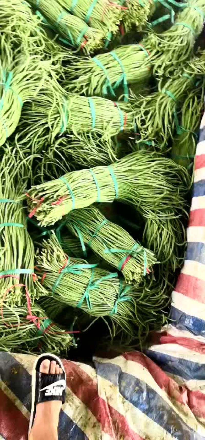豆角