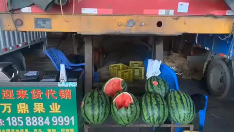 各种西瓜，甜王，黑美人，花瓜，美都麒麟瓜