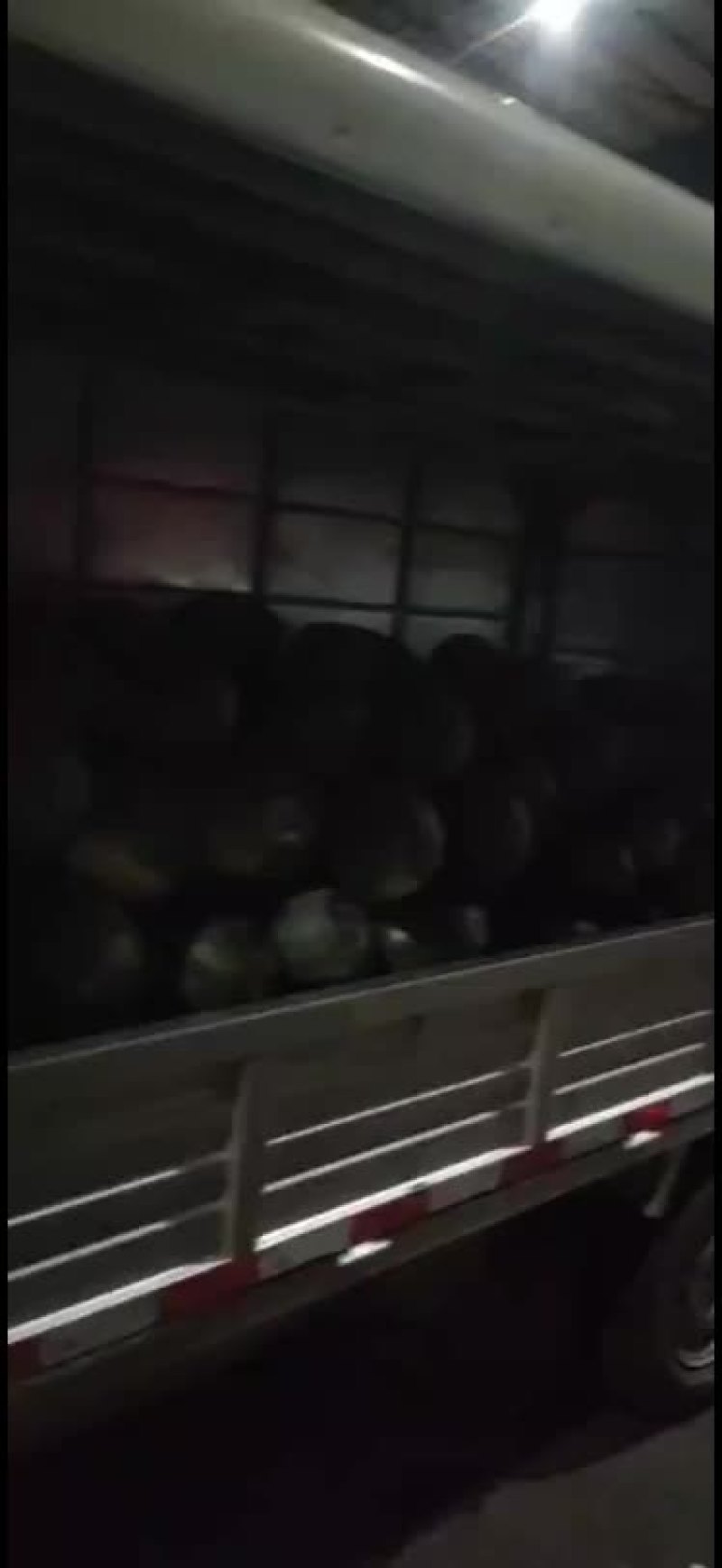 各种西瓜，甜王，黑美人，花瓜，美都麒麟瓜