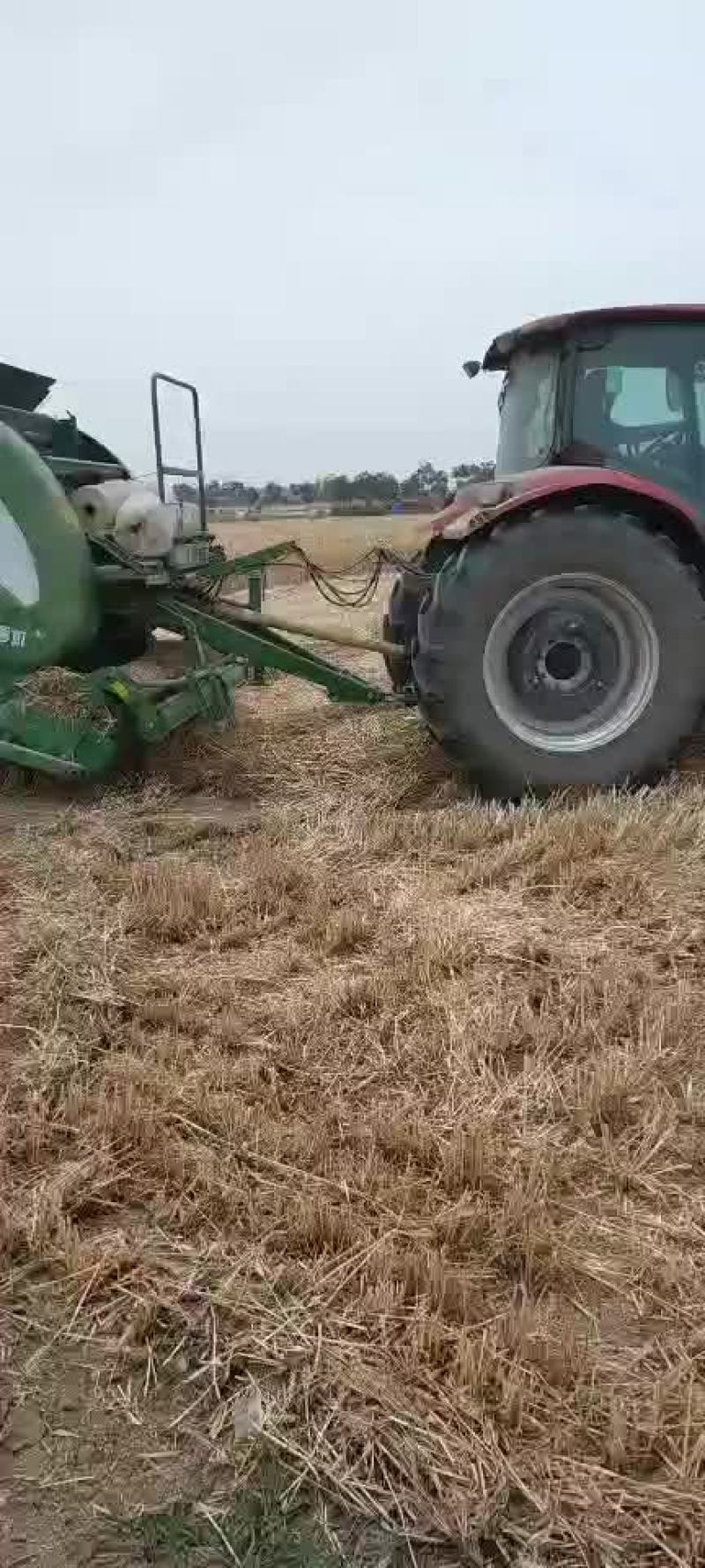小麦秸秆河南优质小麦结杆方捆大圆捆大量现货随时装车