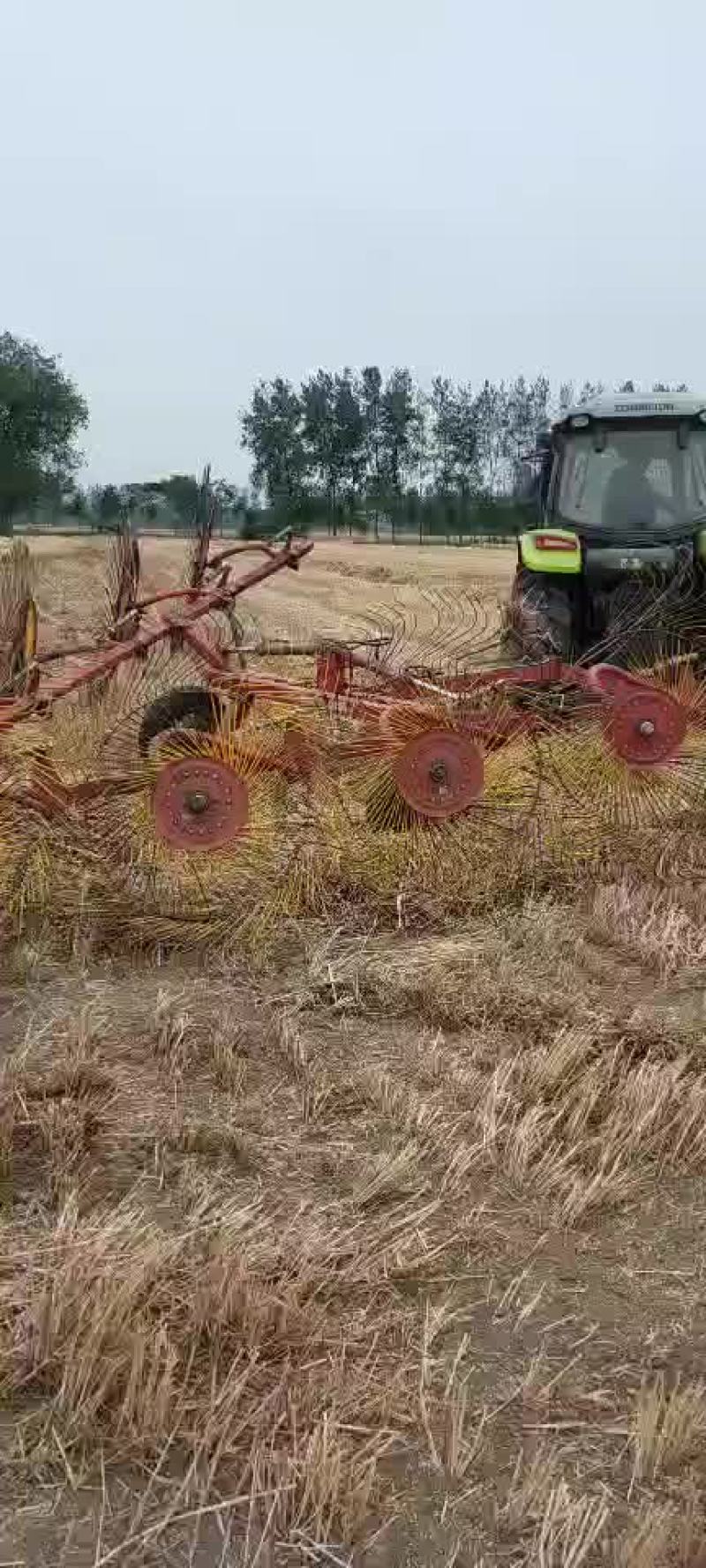 小麦秸秆河南优质小麦结杆方捆大圆捆大量现货随时装车