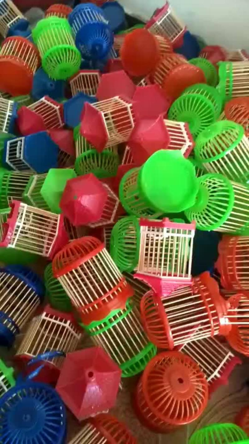 蛙叫虫鸣