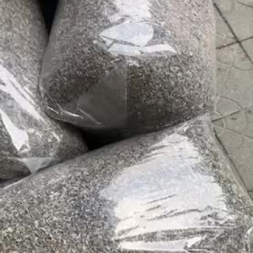 韶关本地白茶又名藤茶