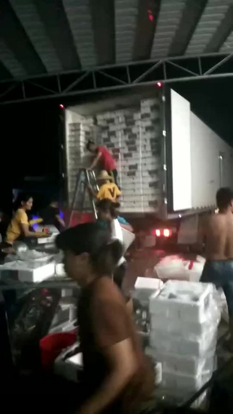 铭国果业，精品妃子笑荔枝大量上市