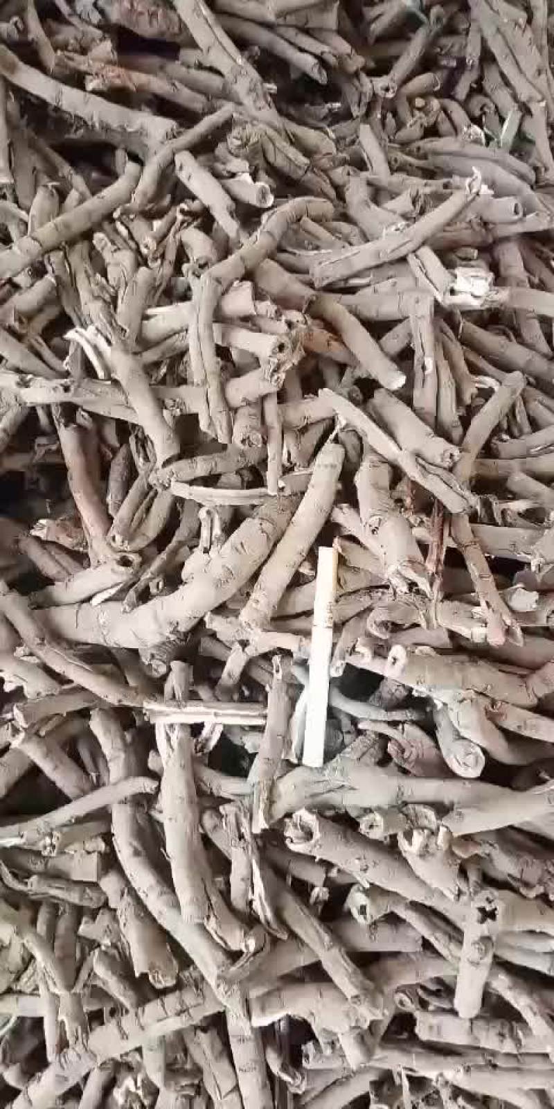 无硫红丹皮黑丹皮