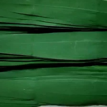 芦苇叶
